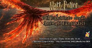 Harry potter e il labirinto degli animali fantastici – domenica 2 luglio